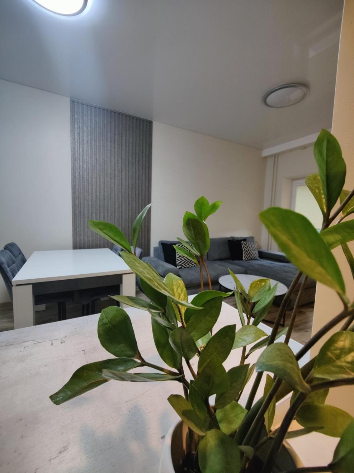 V15 Apartment Друскининкай Экстерьер фото